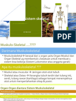 Anatomi Sistem Muskuloskeletal