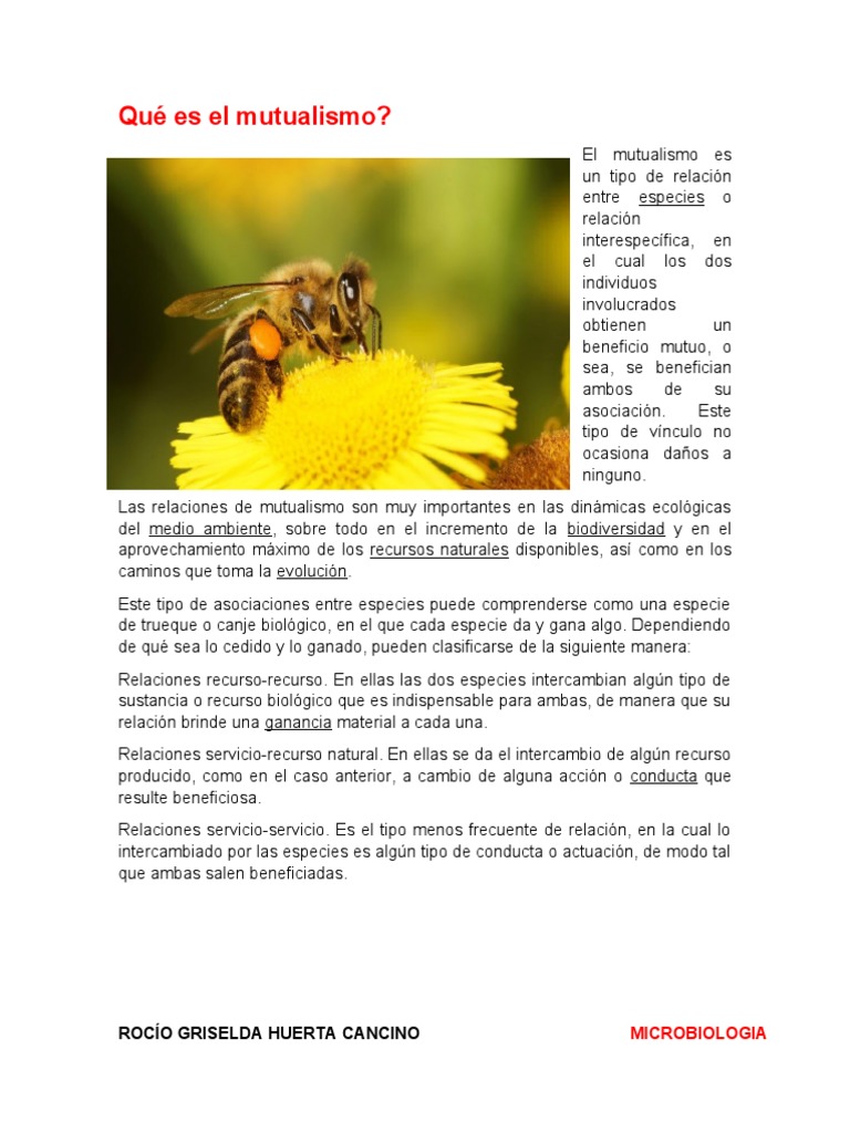 Definiciones de Mutualismo, Simbiosis, Comenzalismo, Etc | PDF ...