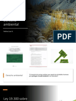 Derecho Ambiental