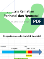 1 Analisis Kematian Perinatal & Neonatal