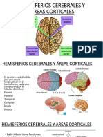 Hemisferios y Áreas Cerebrales