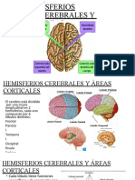 Hemisferios y Áreas Cerebrales