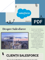 Elenacovatica Salesforce