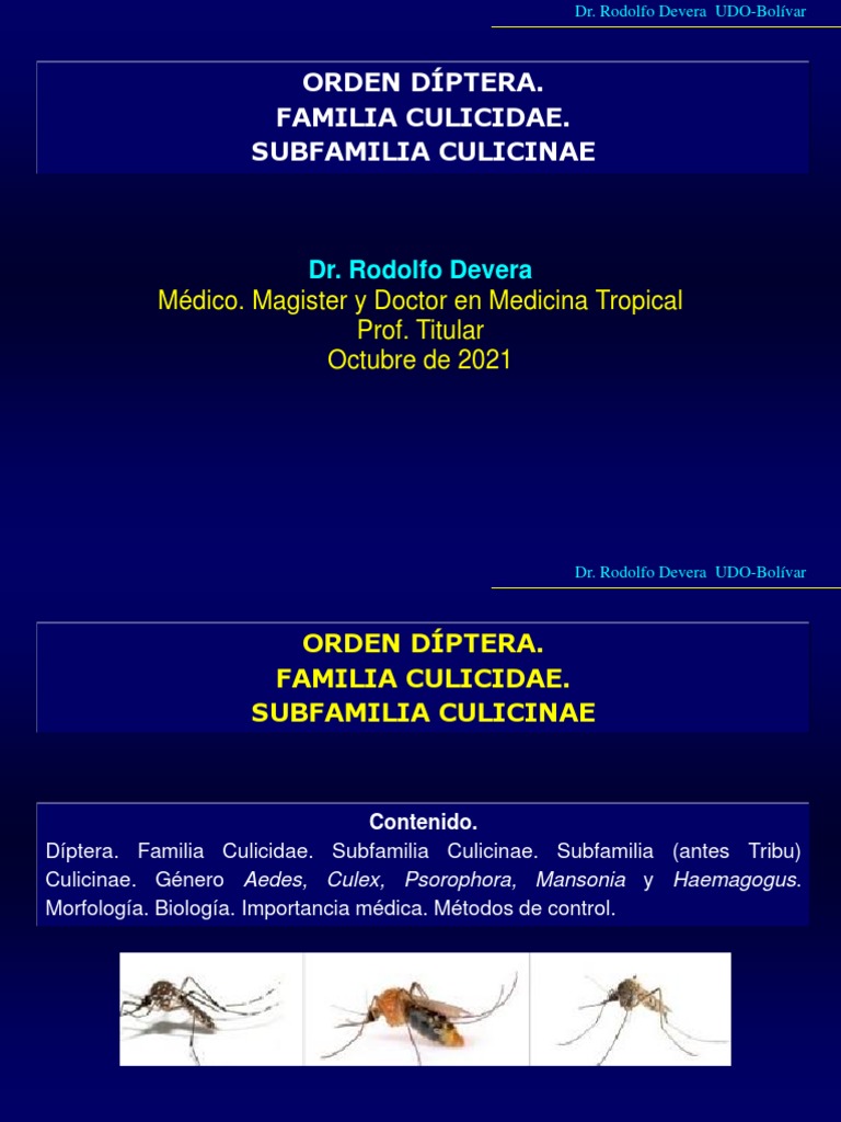11 A Mosquitos 1 | PDF