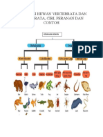 KLAFIKASI HEWAN VERTEBRATA DAN AVETEBRATA