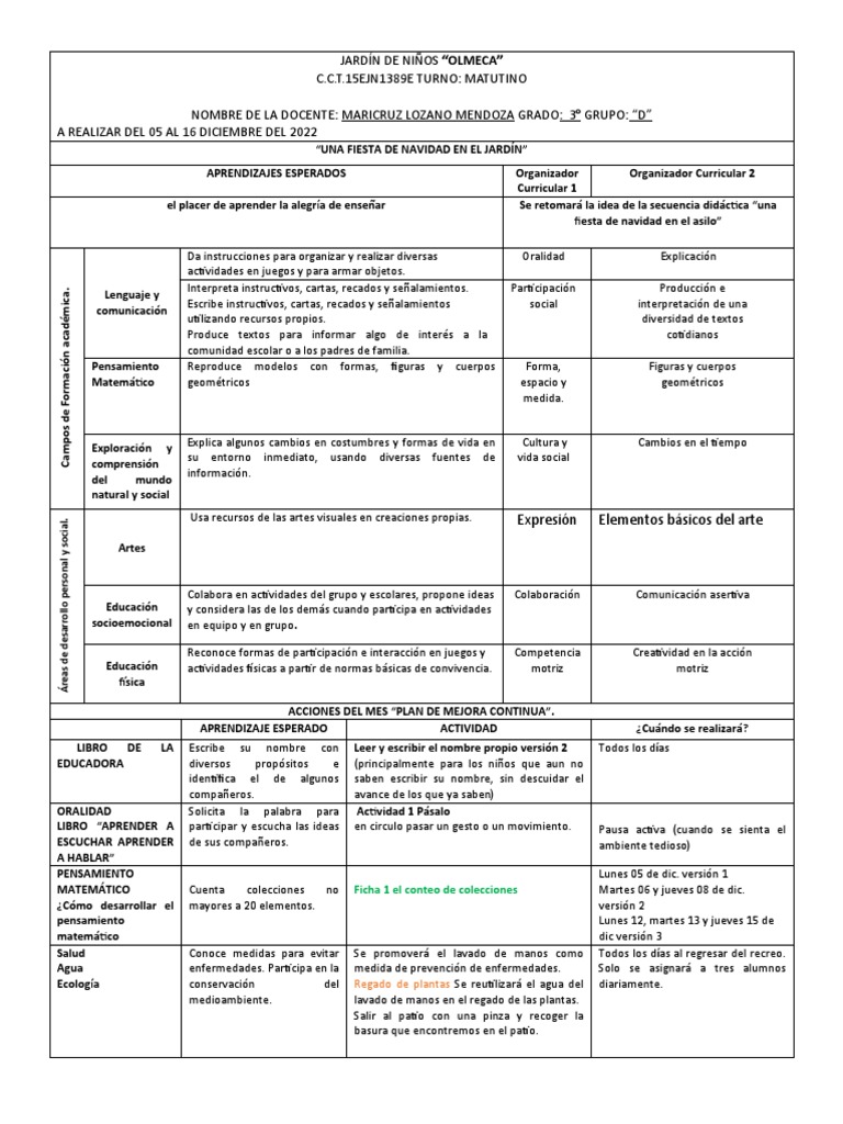 Plan Diciembre | PDF | Plan de estudios | Educación de la primera infancia