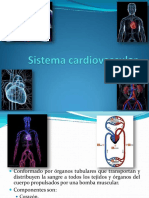 7 Unidad VIa Sistema Cardiovascular