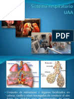 9 Unidad VII Sistema Respiratorio