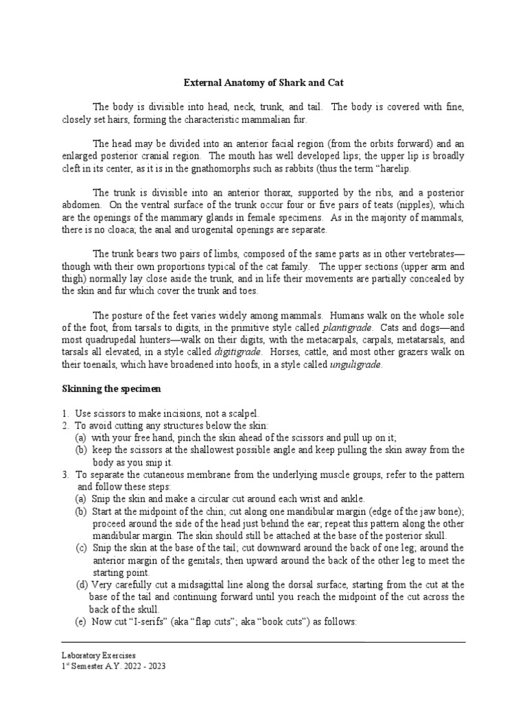 Laboratory exercise no 10 external anatomy of shark and cat pdf