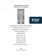 Pi V - Informe Metacognitivo