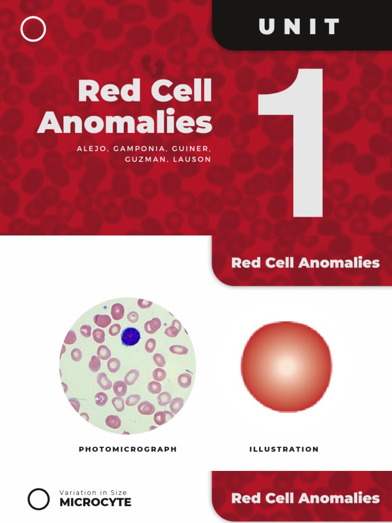 Red Blood Cell Variations Guide | PDF | Anemia | Red Blood Cell