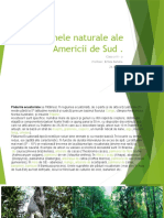 Zonele Naturale Ale Americii de Sud