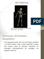 Esqueleto axial y apendicular