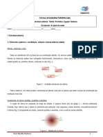 Módulo 1 - ESTRUTURA ATÓMICA. TABELA PERIÓDICA. LIGAÇÃO QUÍMICA