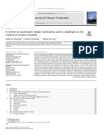 A review on wastewater sludge valorisation and its challenges in the context of CE_2019