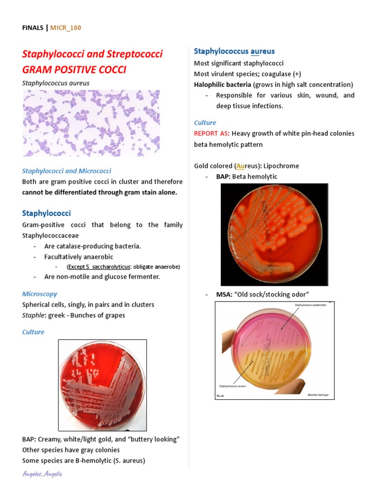Reviewer Bacteriology FINALS ANGELES, ANGELIC PDF