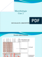 Curs 2 Microbiologie