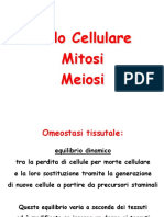 Ciclo Cellulare Meiosi Mitosi