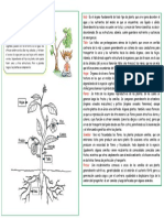 Informacion Cyt Jueves 27-10-2022