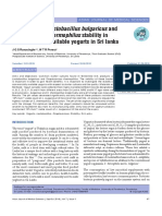 Prevalence of Lactobacillus Bulgaricus and Strepto