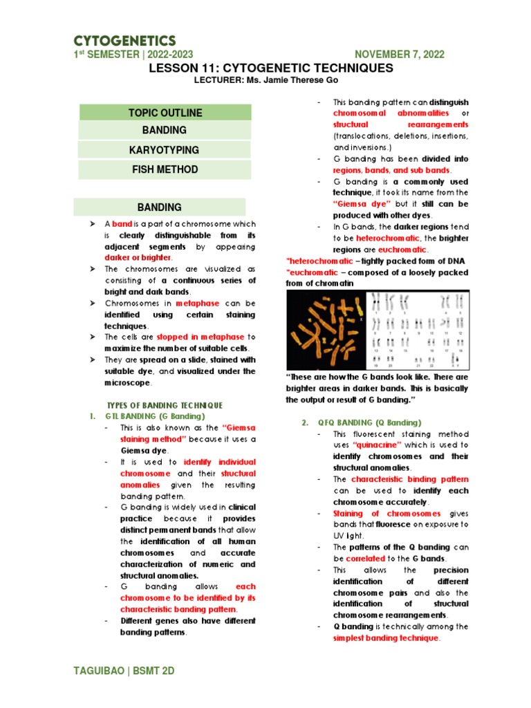 Cytogenetic Techniques Overview | PDF | Fluorescence In Situ ...