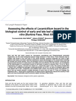 Assessing The Effects of Lecanicillium Lecanii