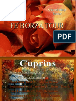 Oferta Fe Borza Tour