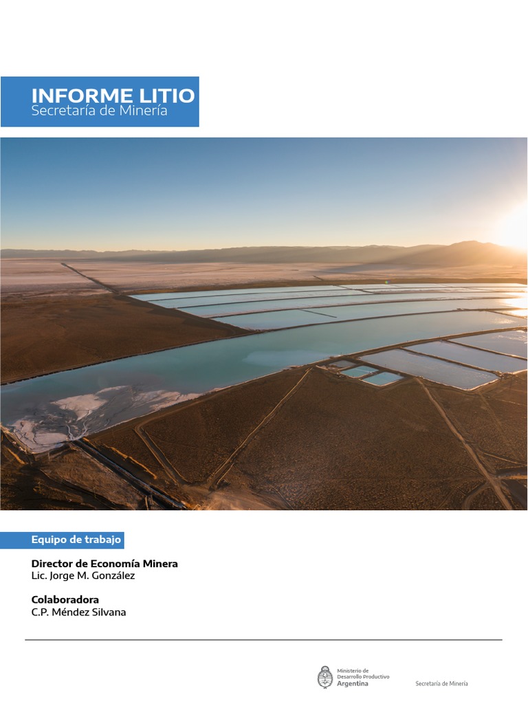 Informe Litio 2021 Final | PDF | Minería | Litio
