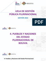 Pueblos y Naciones Del Estado Plurinacional de Bolivia