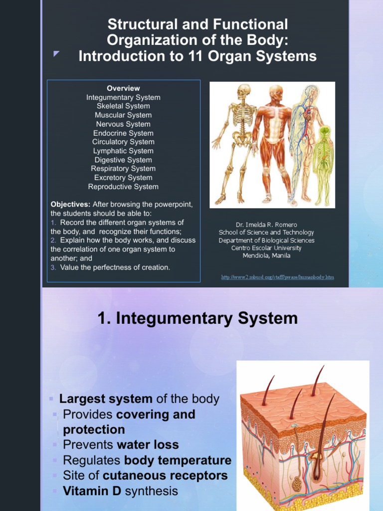 Structural and Functional Organization of The Body Biology Diagrams