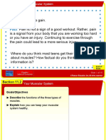 Muscular System - Lesson 19