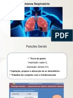 Sistema respiratório: troca de gases e ventilação pulmonar