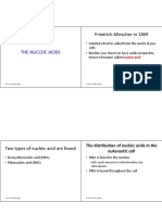 NUCLEIC - ACIDS - Student Hand-Out