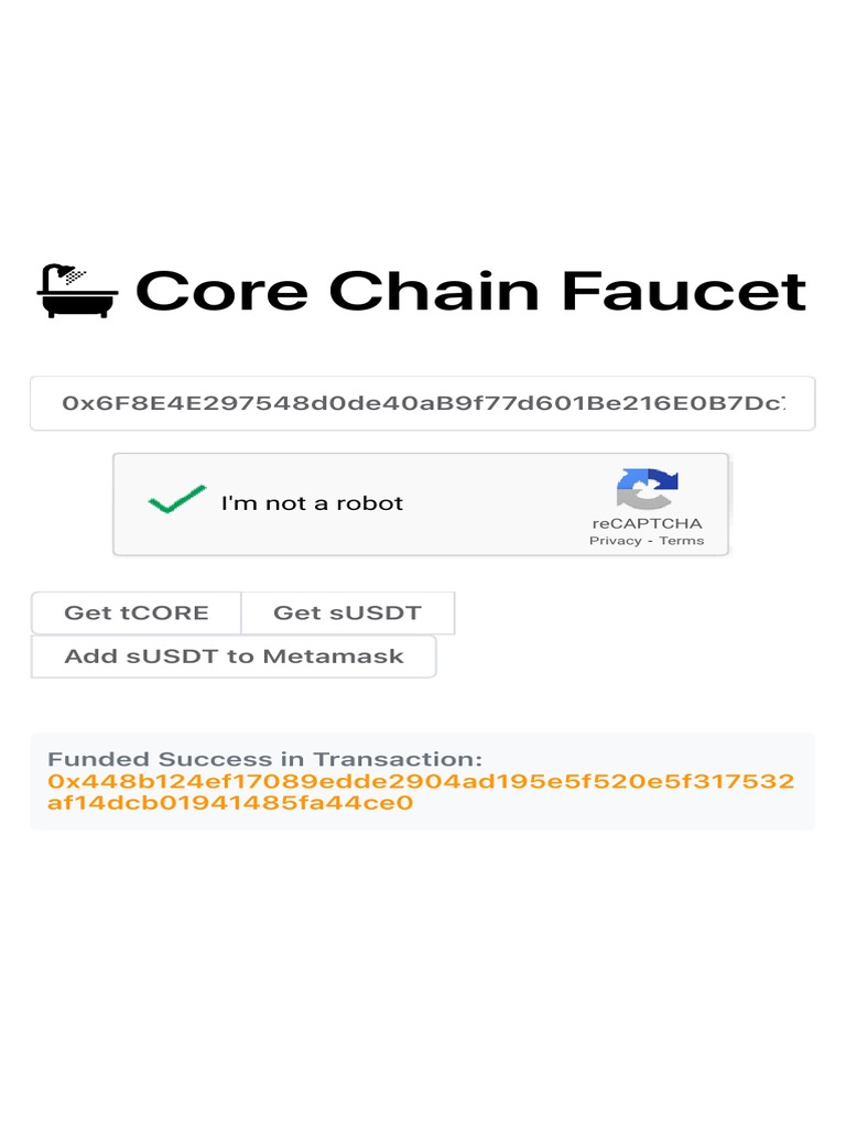 Faucet Core Scan PDF