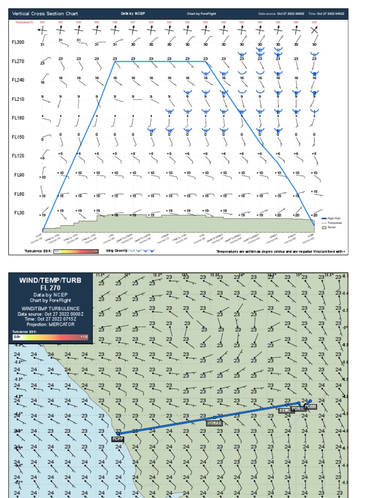 Flight Data and NOTAMs Overview | PDF | Aeronautics | Navigation