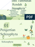 PPT Taksonomi Tumbuhan Rendah Kelompok 1 (Divisi Schizophyta)