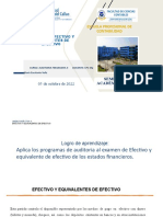 Auditoría de Efectivo