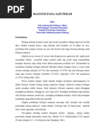 Download Mastitis Pada Sapi Perah by Bayu Arta Ramadhan SN61243589 doc pdf