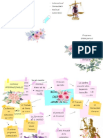 Mapa de Derecho Ambiental