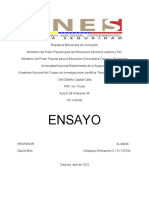 Ensayo Emiliamnis-WPS Office
