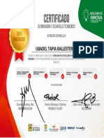 8-1 Certificados_Digital_BSI UBADEL TAPIAS