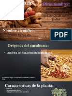 Expo Cacahuate