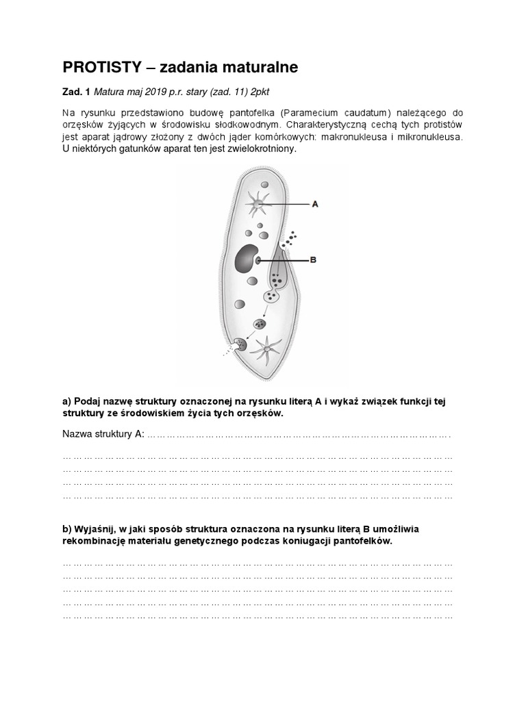 protisty-zadania-maturalne-pdf