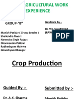 Rural Agricultural Work E.9065491.powerpoint