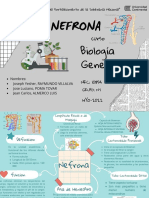 La Nefrona-NRC 10854 (Grupo 1)