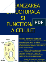 Curs II Fizio