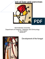 Kocsis Liver-pancreas-Development English 20180419