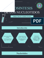 NUCLEOTIDOS