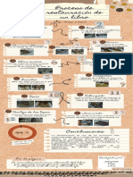 Infografía Del Proceso de Restauracion de Un Libro