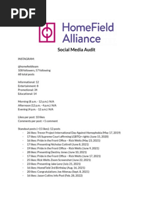 social media audit